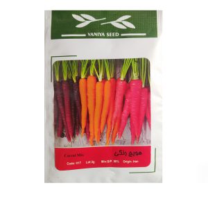 بذر هویج رنگی